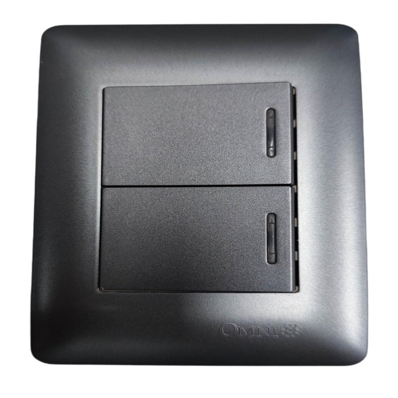 Omni 2 Gang 1 Way Illuminated Switch Medium with Plate Designer Series Graphite DWS-314GX2+DWP-113G