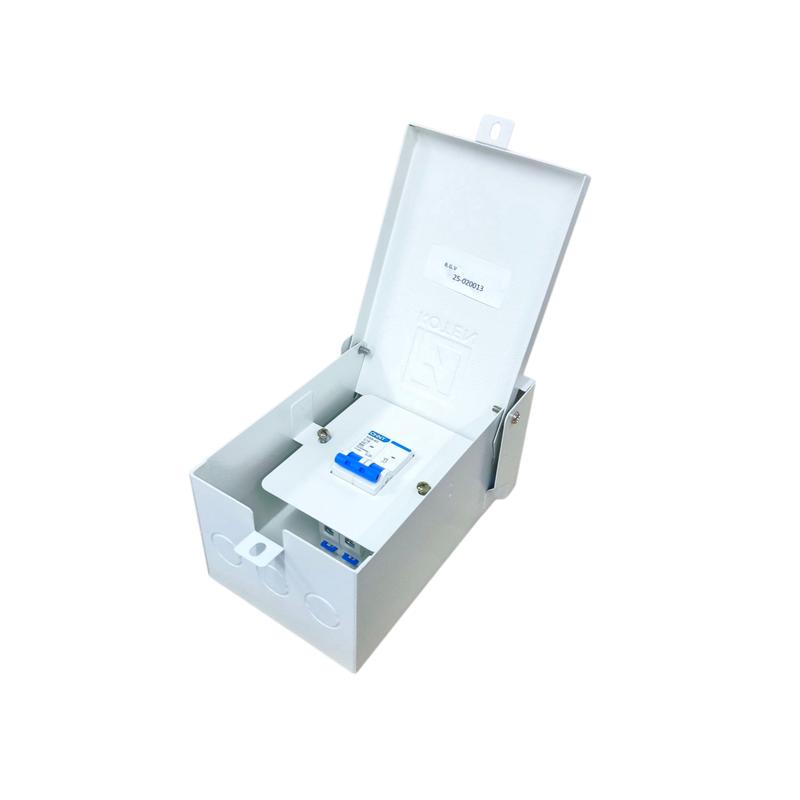 Chint 10A 2P 6KAIC 220V Miniature Circuit Breaker with Nema 3R Enclosure Outdoor NXB-63/C10 6KAIC